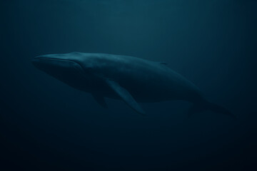 Fototapeta premium Majestic Blue Whale Gliding Gracefully in the Deep Blue Ocean