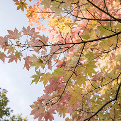 Maple leaves transitioning from vibrant green to soft pastel shades of pink, purple, and cream, creating a serene and magical autumn atmosphere in the natural landscape