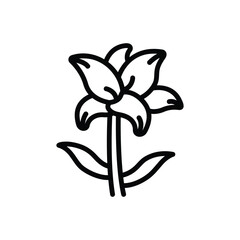 Black line icon for lily
