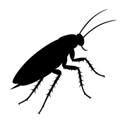 silhouette of a cockroach