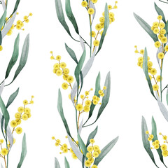 Golden wattle flowers seamless pattern decor element watercolor illustration. Acacia pycnantha Australian native plant. Golden wattle elegant branches decoration on white background