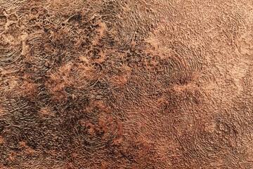 Textured abstract background displaying warm copper hues and intricate patterns, created by natural elements and light reflections during a serene moment
