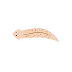 Cartoon Planaria flatworm vector illustration