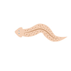 Cartoon Planaria flatworm vector illustration
