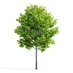 Fototapeta premium A solitary tree, with lush green leaves, standing tall and vibrant against the sky. The image captures the essence of growth, nature and the beauty of the great outdoors