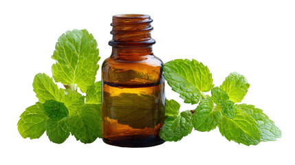 Aromatherapy bottle with fresh mintTransparent background, PNG file