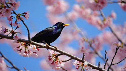 Bird perched on a cherry blossom branch under a clear blue sky during springtime