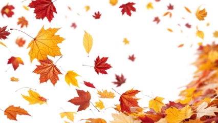 Colorful autumn leaves are gently falling against a clean white backdrop, creating a vibrant and inviting frame with a sense of motion and seasonal atmosphere