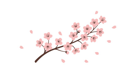 Pink blossoms on a brown branch with scattered petals, isolated on white