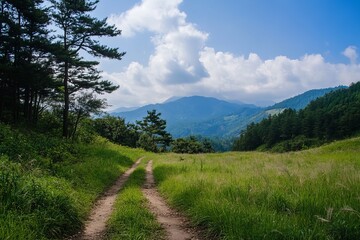 Obraz premium A dirt road winds through a grassy valley, leading to a distant mountain range, framed by lush green trees