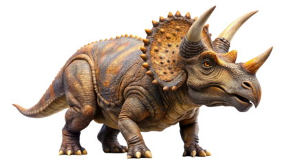 triceratops---------isolated-on--white-background