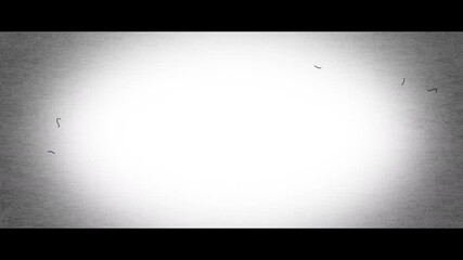 Cinemascope size (2.35:1) 2. Dark background noise like a horror movie (4K)