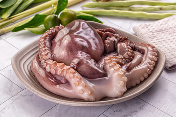 Gourmet luxury raw wild octopus