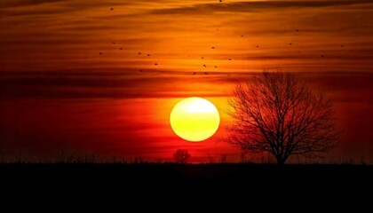 Glowing Sunset with Tree Silhouette and Birds