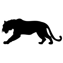 Powerful Black Panther Silhouette in a Low, Stealthy Stalking Po