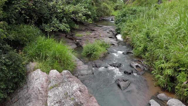 Drone Push-In Shot of Mountain Small River Flowing Through Lush Forest