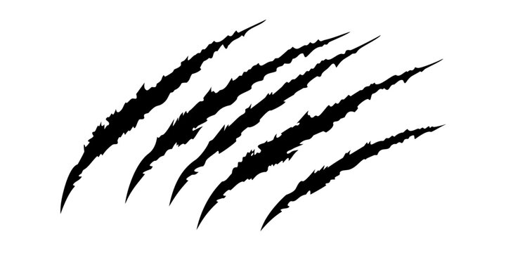 Claw scratch vector illustration. Set of cruel animal scratches horror and grunge concept in silhouette isolated on white background