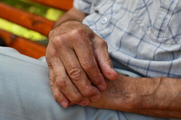 Fototapeta premium hands of the elderly woman