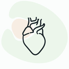  Human Heart