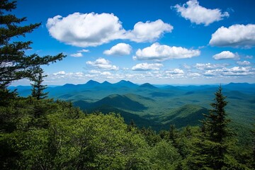 Fototapeta premium Mountain vista with lush forest and blue sky