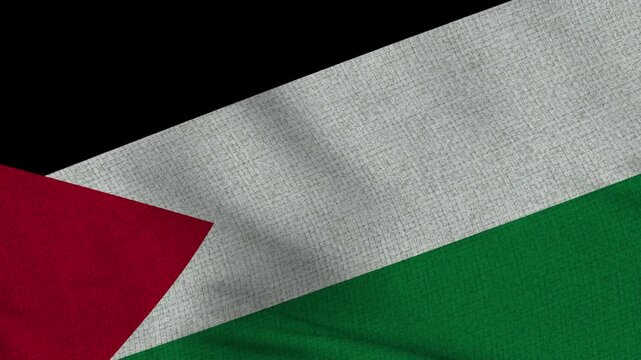 Palestine Close-up flag animation seamless loop. high resolution 4k