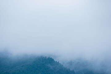 夏の山　朝霧に覆われた山の木々04