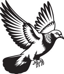 Fototapeta premium Flying pigeon bird side and front view vector illustration black and white contour line isolated on transparent background