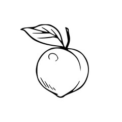 organic peach with leaves outline