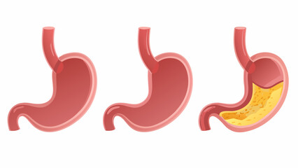 red hot chili pepper isolated