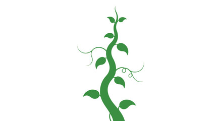 Green vine with leaves and tendrils on a white background, curving upwards