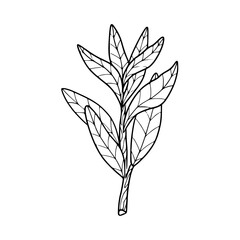 minimalist branch with leaves vector illustration