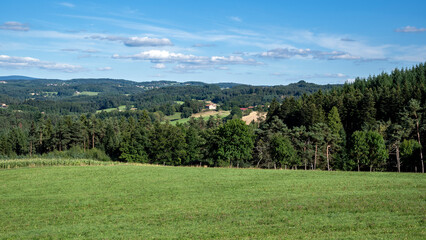 Fototapeta premium Paysage d'Auvergne dans le département de la Haute-Loire en été autour du village de Saint-Pal-de-Mons
