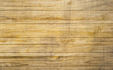 backgrounds and textures concept - wooden texture or background