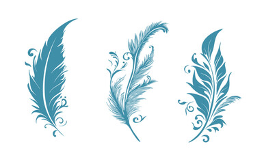 Three isolated feathers illustration