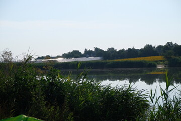 Rural Landscape with Solar Panels and Pond in Summer