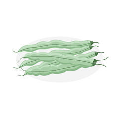 Fresh green bean vegetable icon vector illustration designed in a cartoon flat style. Healthy food concept design. Phaseolus vulgaris L.