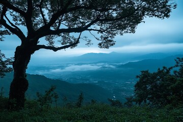 Obraz premium Misty mountain vista with a large tree silhouette