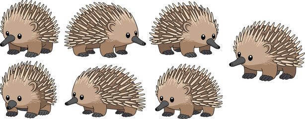 Cute cartoon echidna characters set, spiky animal vector illustration, adorable baby echidnas, kids wildlife design, isolated on white background