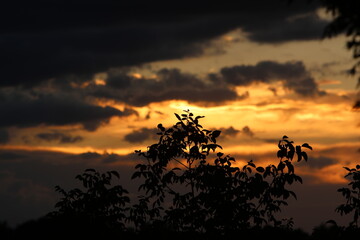 Zachód słońca pewnego dnia, lato