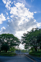 夕方の観音池公園