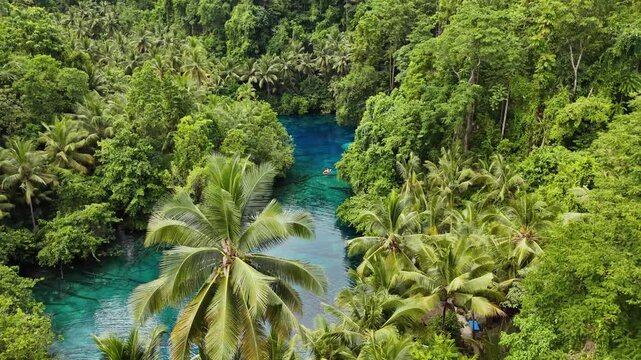 4k drone video of a couple in a rowing boat in one of the clearest lakes in the world, Paisupok Lake, surrounded by trees and tropical jungle landscapes in the Banggai Islands, Sulawesi Indonesia