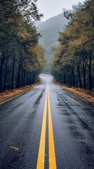 Winding road through a misty forest on a rainy day