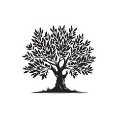 Obraz premium Olive Tree Vector (1).eps