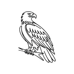 Fototapeta premium Majestic eagle perched on a branch bird wildlife