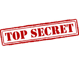 My Job Is Top Secret Even I Don’t Know What I’m Doing