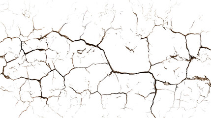 Cracked earth texture