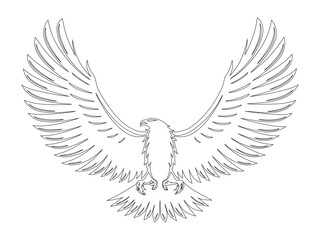 Fototapeta premium Eagle Wings Spread Outline