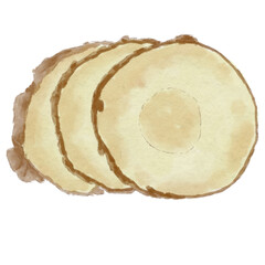 watercolor ginger slices illustration viewed from top