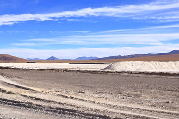 Bolivia, the southwest of the Altiplano, Potosi Department. Laguna Capina, salt lake known for the extraction of borax