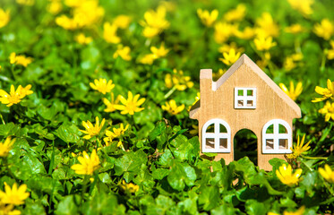 Naklejka premium The symbol of the house stands among the yellow flowers 